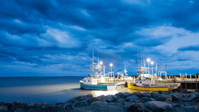 Everything shows during low tide: 3 business lessons from nature