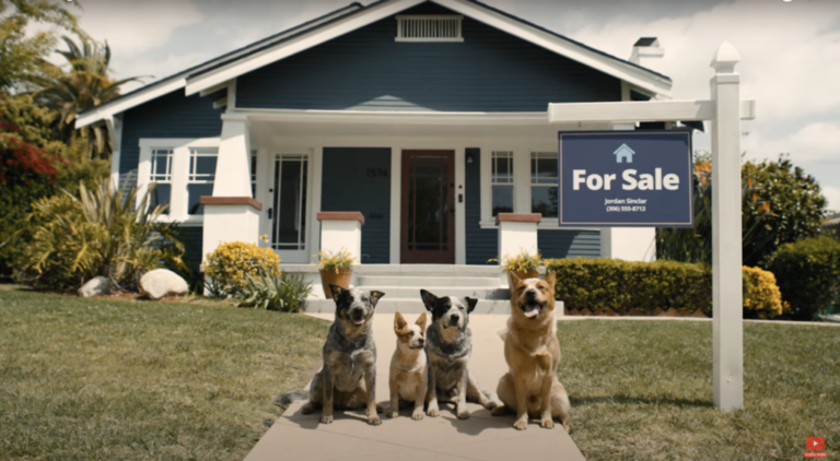 Ryan Reynolds Creates Zillow Ad Inspired By Hit Show "Bluey"