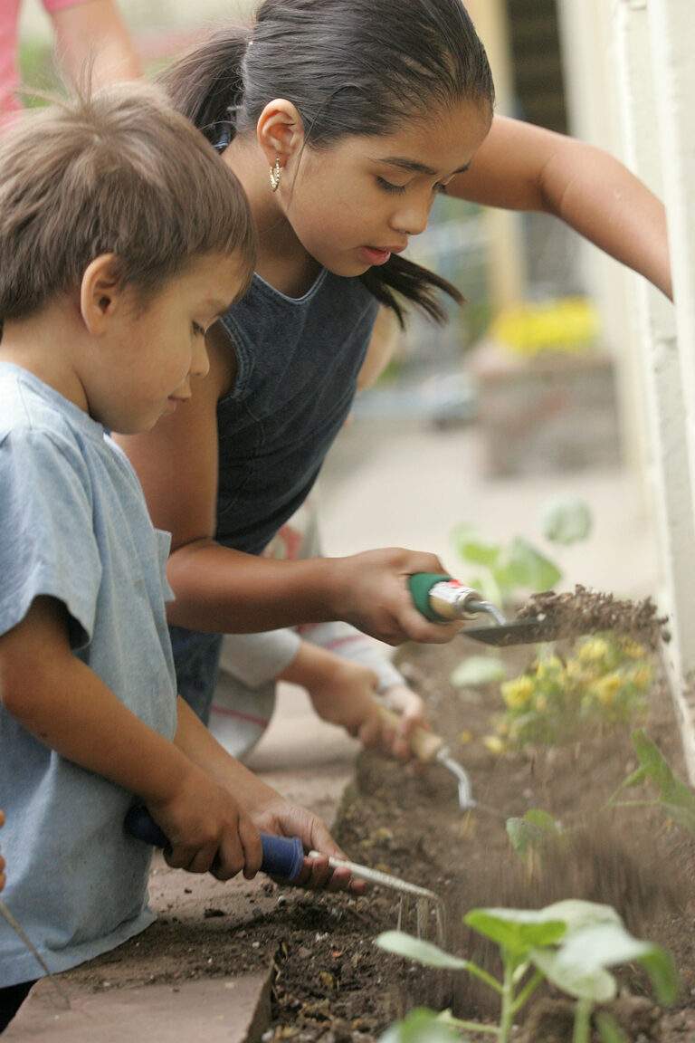 Denver Urban Gardens provides support in the form of equipment and a standardsbased curriculum for several school gardens in Colorado