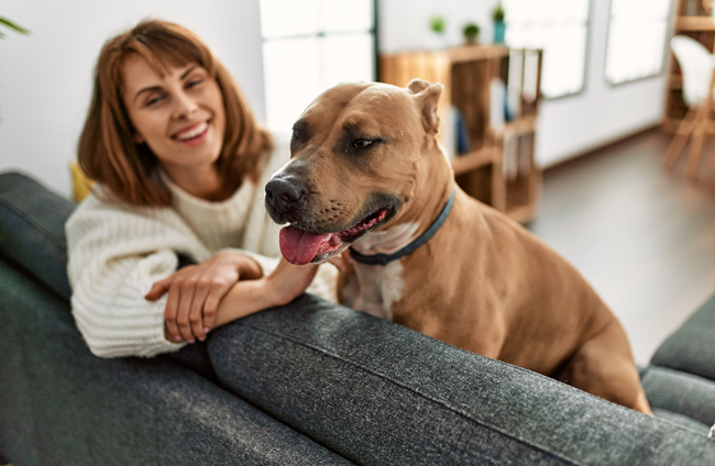 Zillow predicts in 2025 that rent concessions will decline and more rental properties will become pet-friendly.